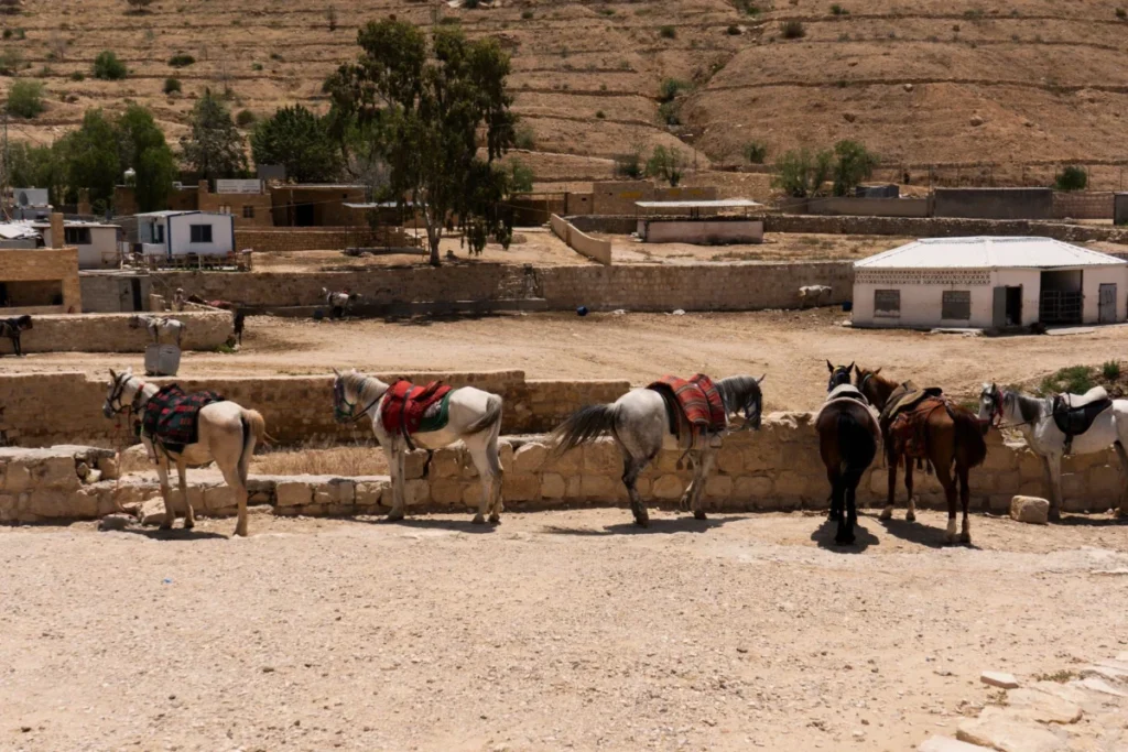 Taybeh Village