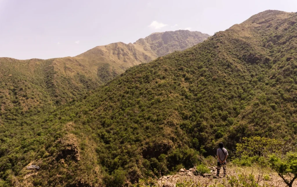Tchamba