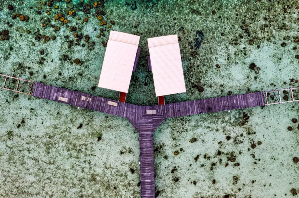 The Split