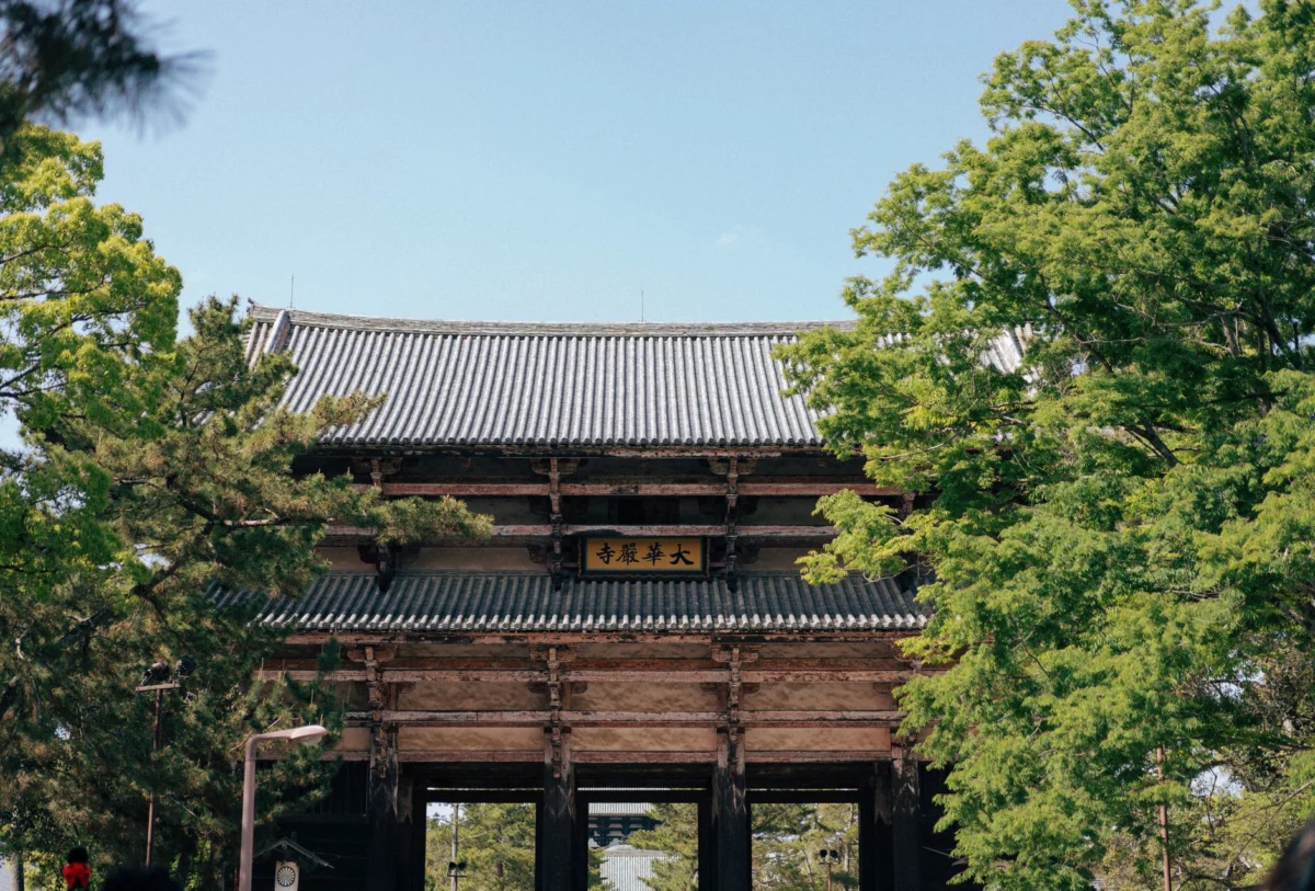 Stunning view of Todai-ji Temple surrounded by lush nature in Nara.