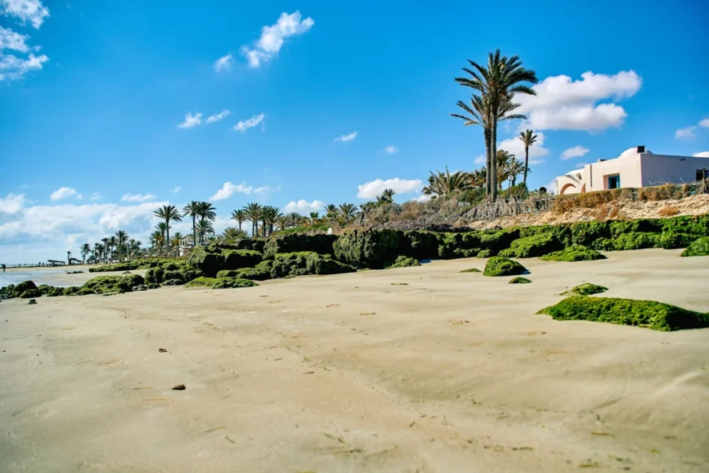 Tofo Waterfront