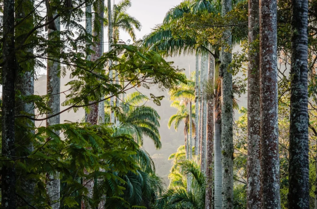 Topes de Collantes