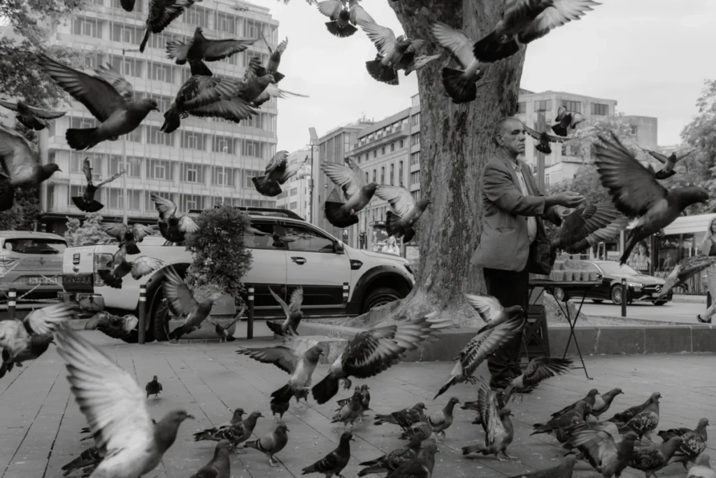 Tophane