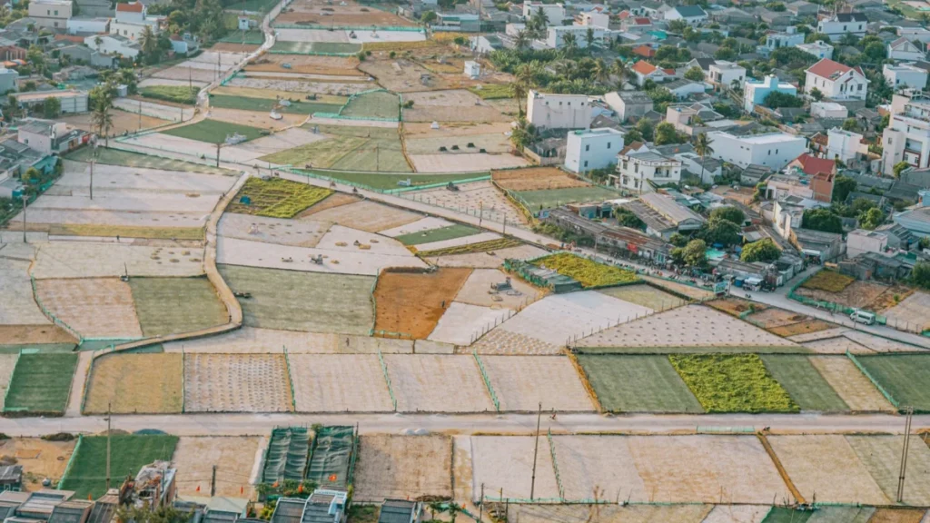 Tra Que Village