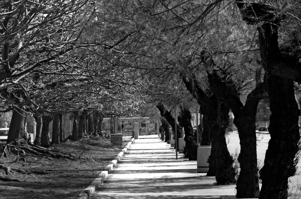 Boulevard de l'Environnement