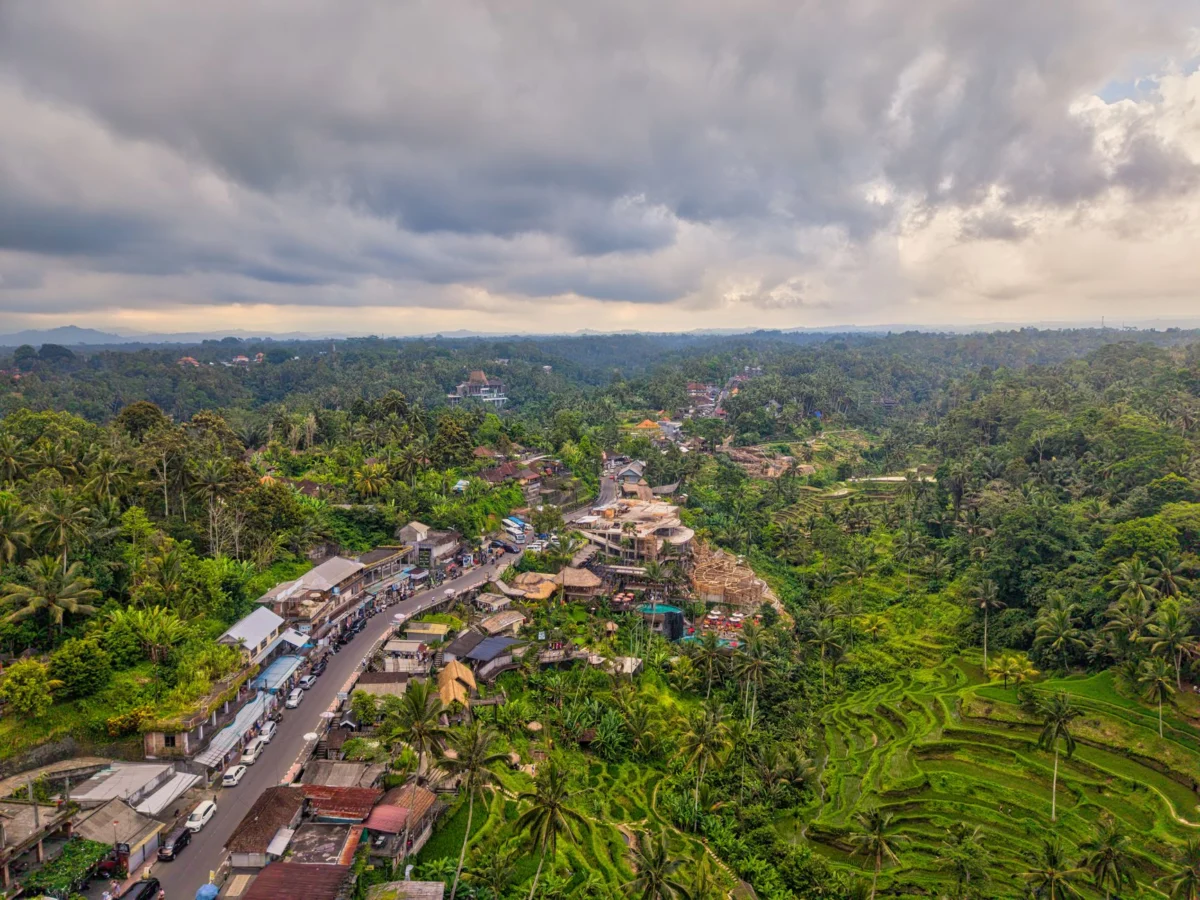 A scenic view of Ubud's lush landscape