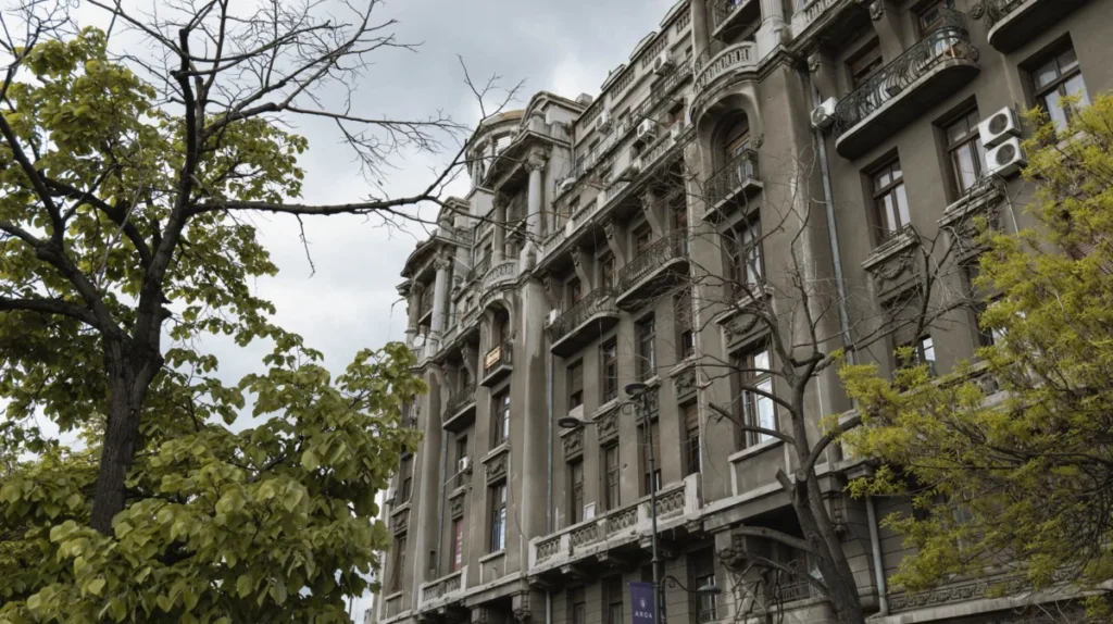 Universitate