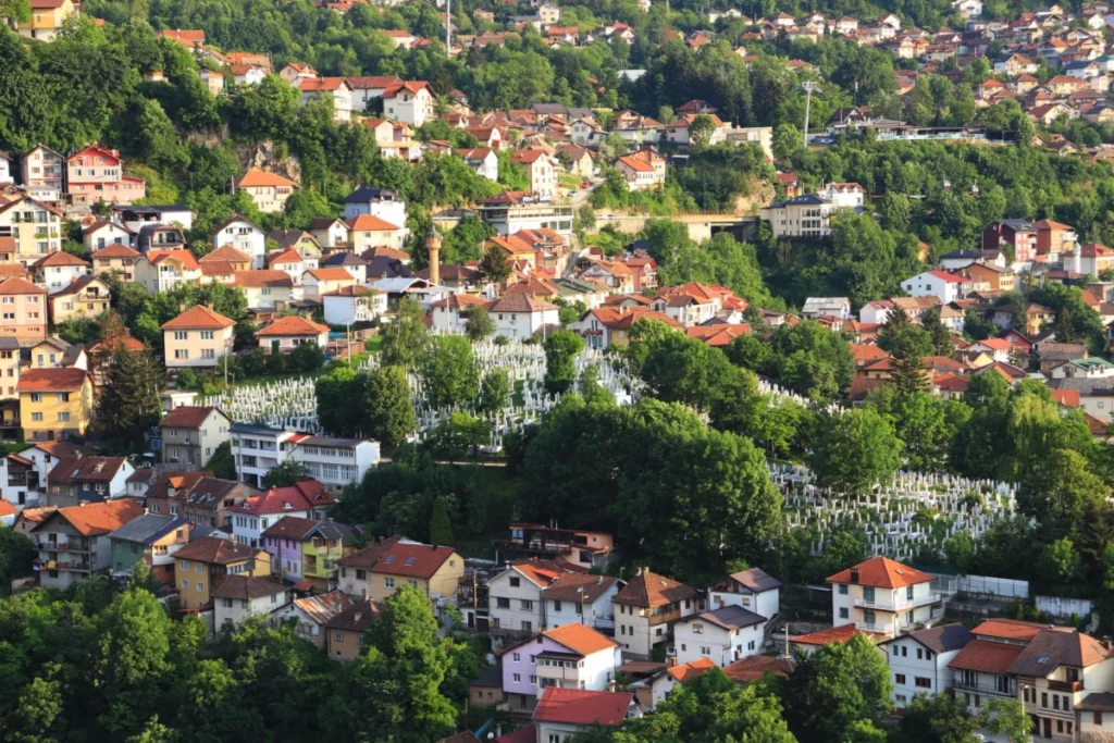 Varda