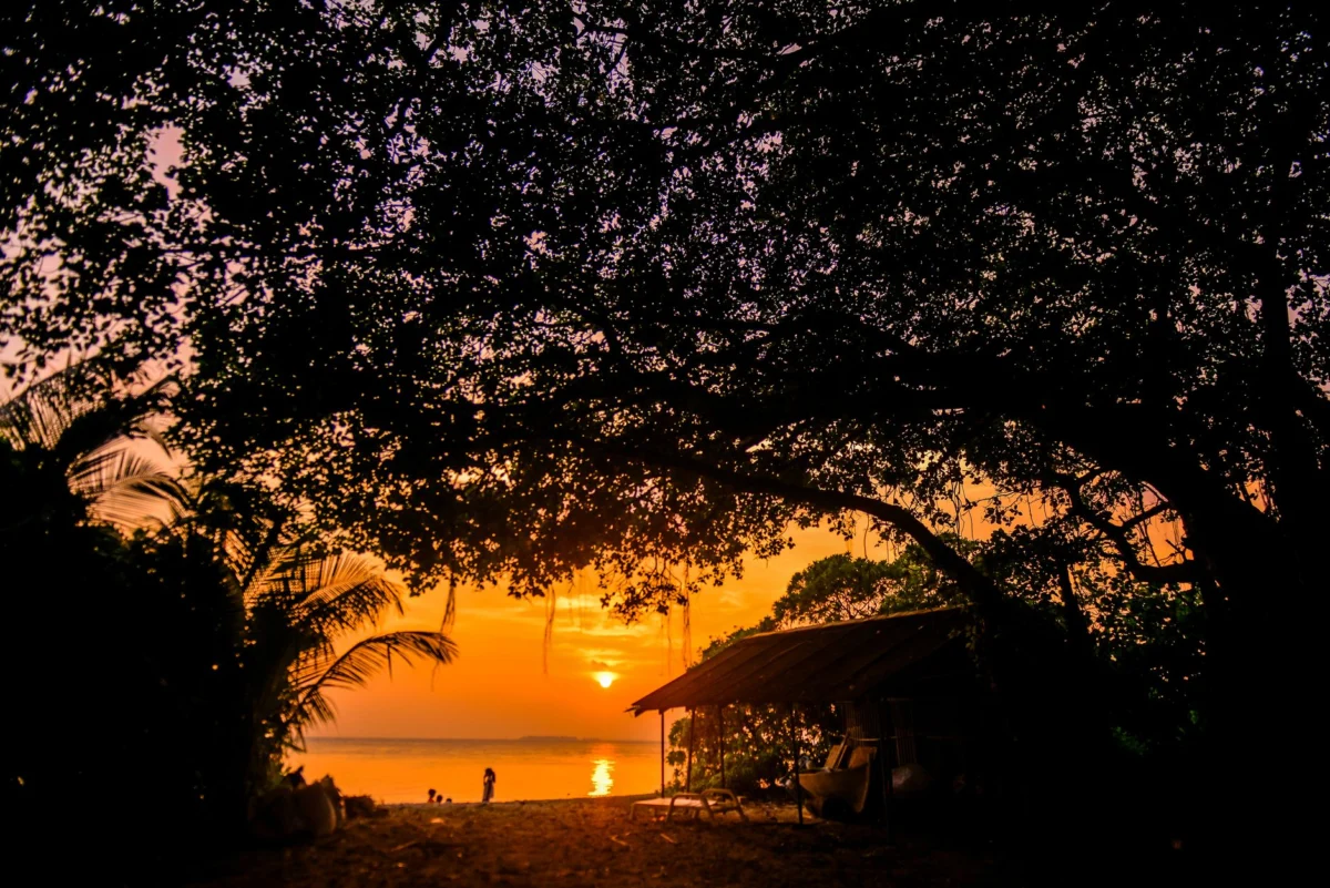 Sunset view over a serene beach in Vieques