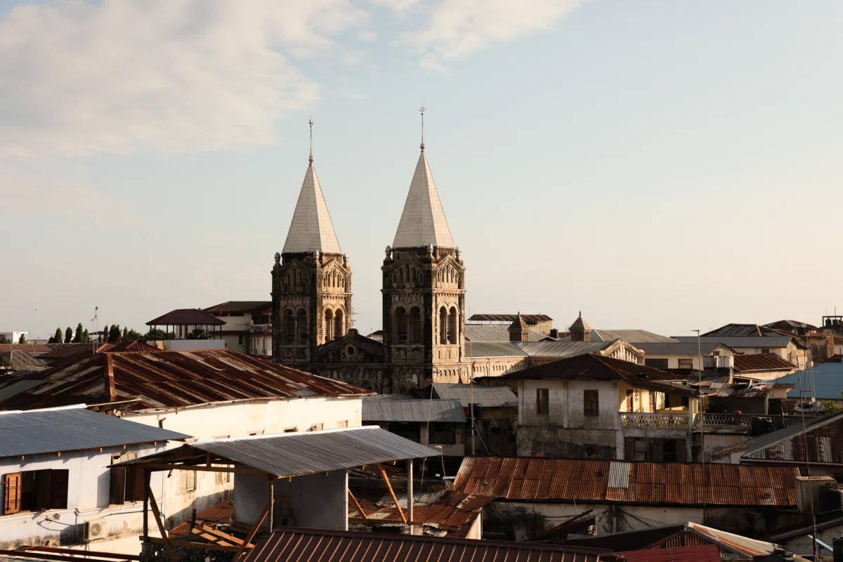 Panoramic view of Zanzibar's iconic stone town skyline