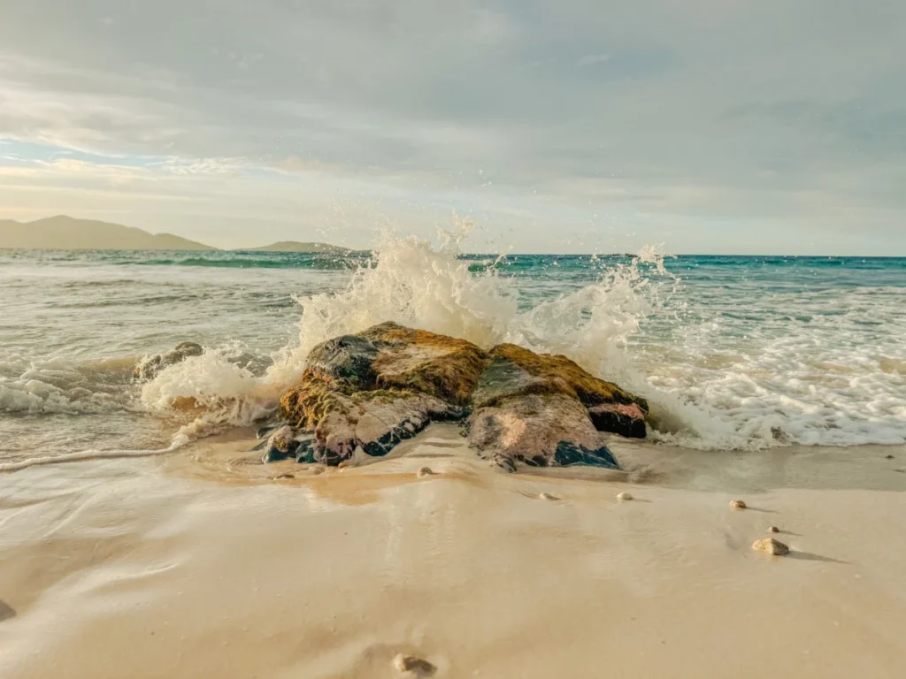 Zoni Beach