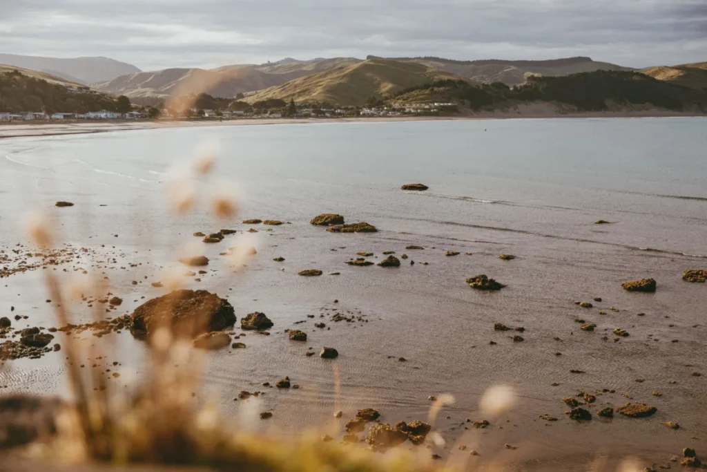 Oriental Bay
