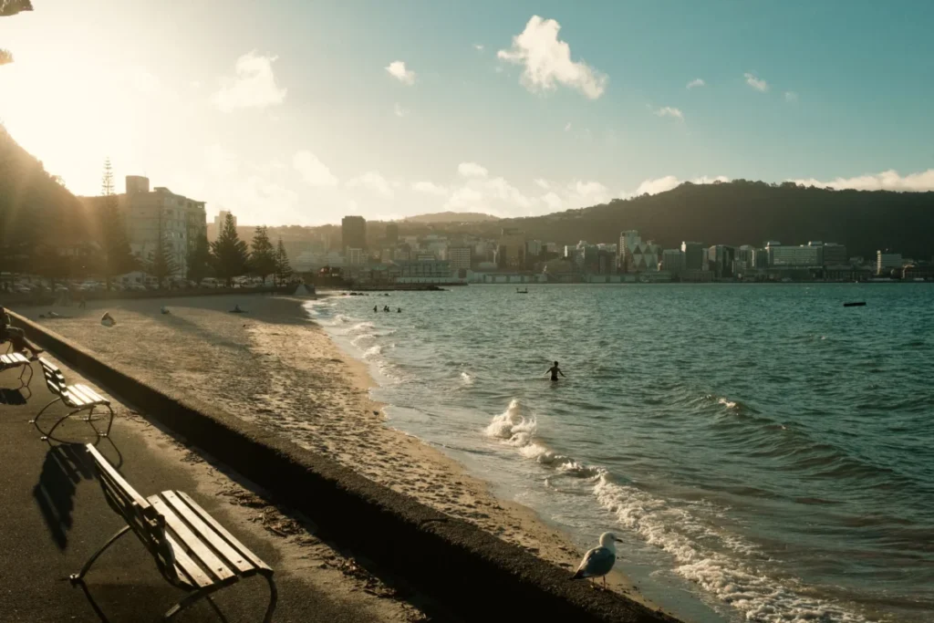 Oriental Bay