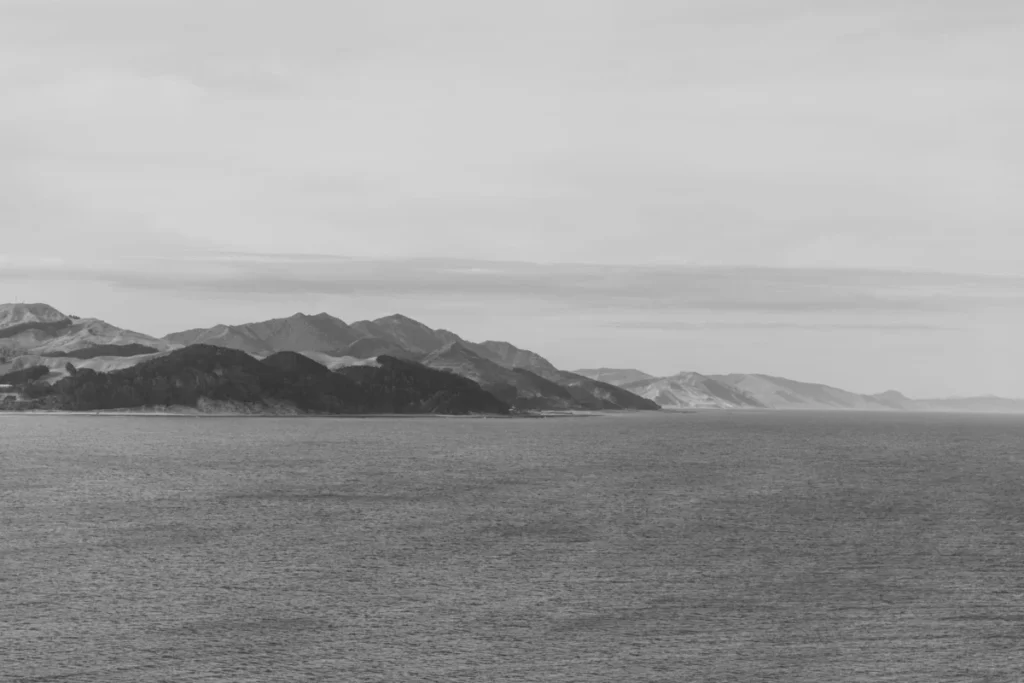 Petone