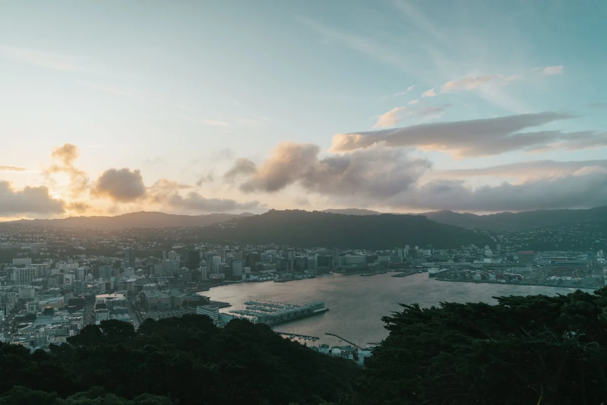 Wellington skyline and harbour viewed from the city
