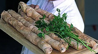 Andouille Sausage