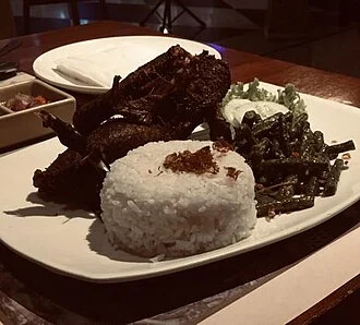 Balinese Duck