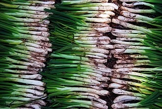 Calçotada