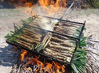 Calçots with Romesco Sauce