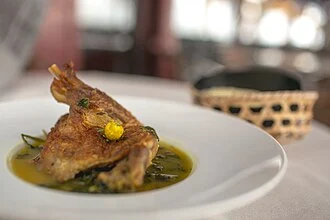 Duck with Tucupi