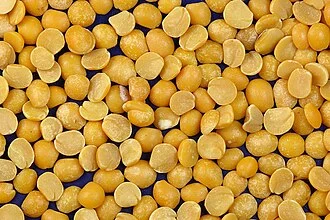 Fava Santorinis