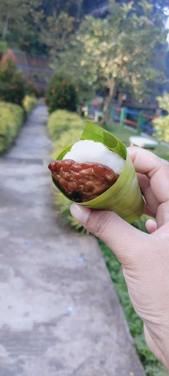 Jadah Tempe