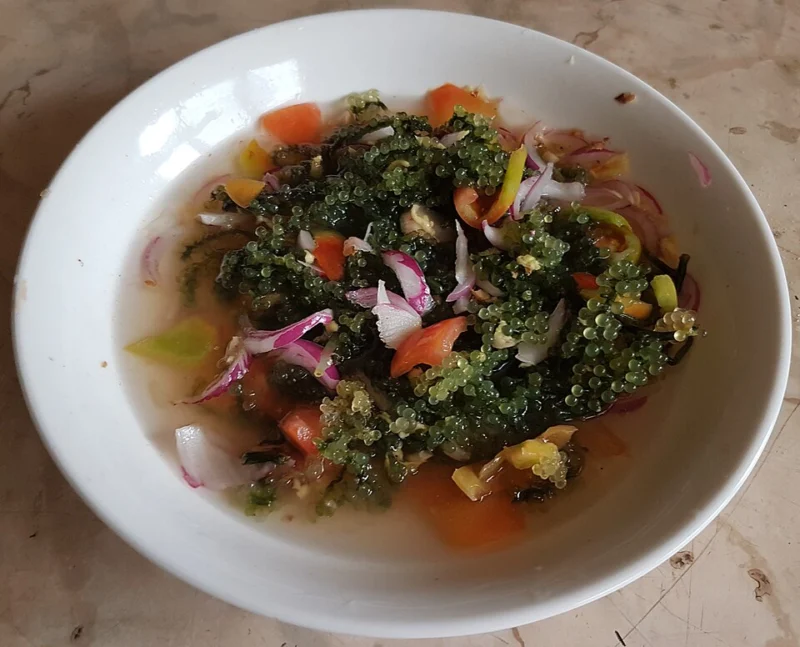 Lato Salad