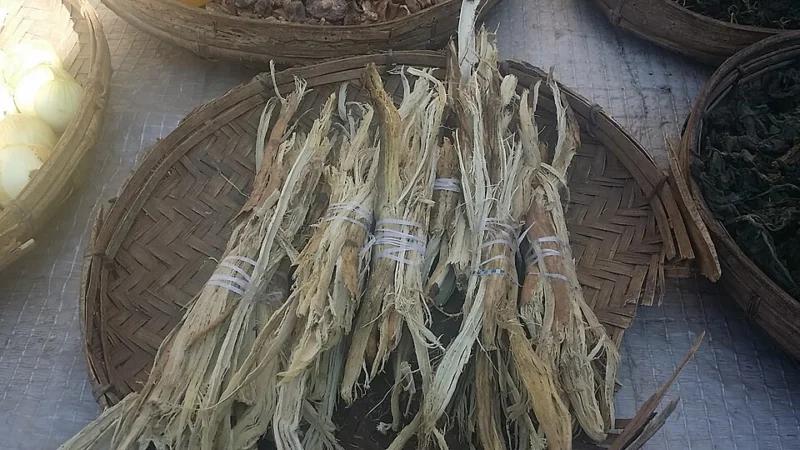 Munkoyo