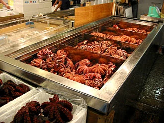 Octopus Salad