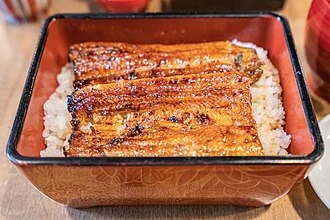 Unagi Kabayaki